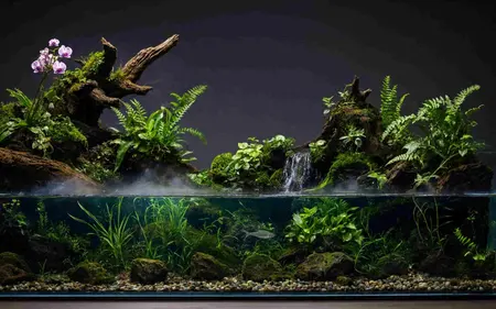 A planted aquascape with stones and moss.